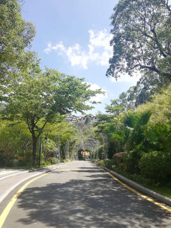 深圳2 - 副本.jpg